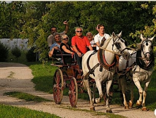 Vallate pordenonesi a cavallo